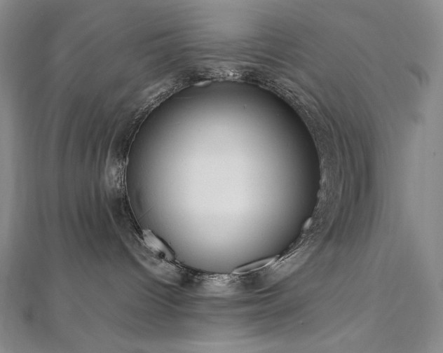 X0000112810096200908211153