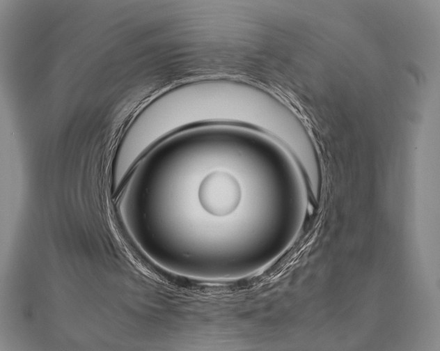 X0000112810097200908211153