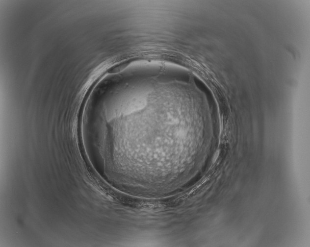 X0000112810099200908211153