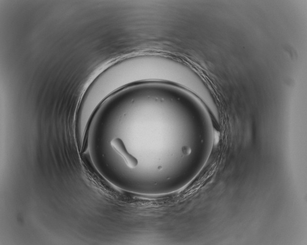 X0000112810100200908211153
