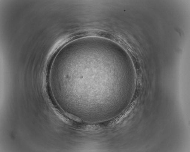 X0000112810101200908211153
