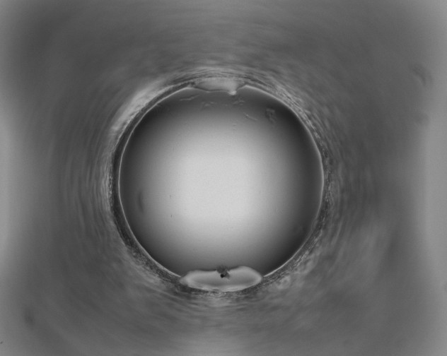 X0000112810103200908211153