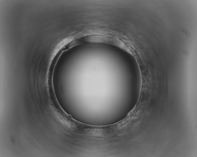 X0000112810104200908211153