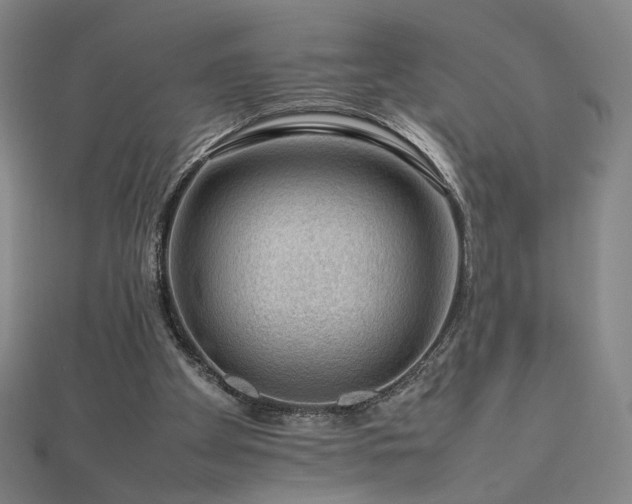 X0000112810105200908211153