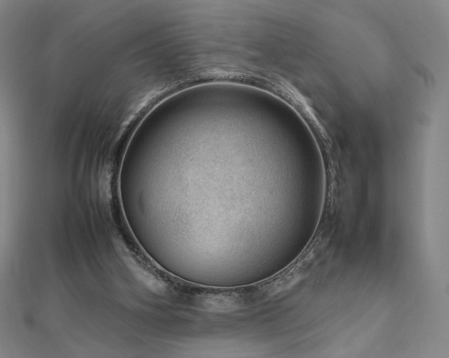 X0000112810106200908211153