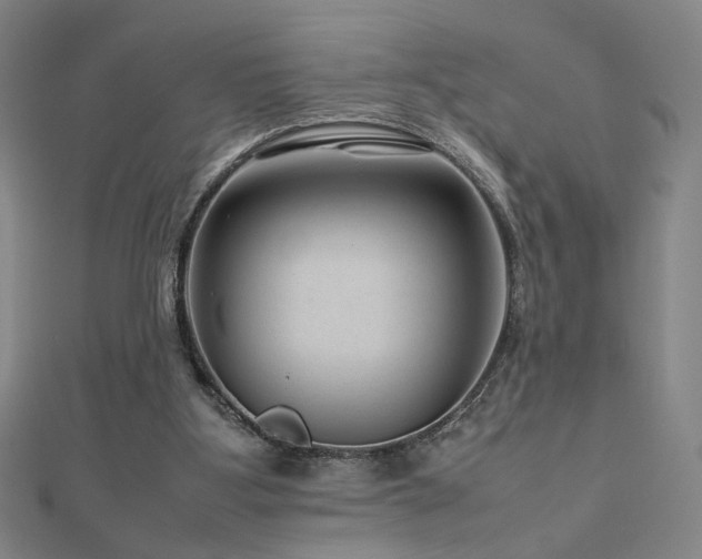 X0000112810107200908211153