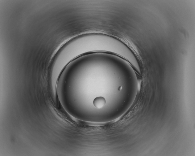 X0000112810108200908211153