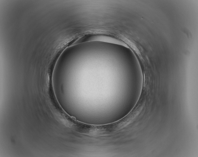 X0000112810109200908211153
