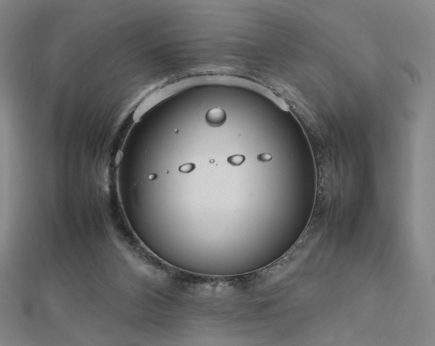 X0000112810112200908211153
