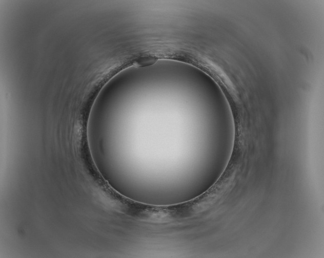 X0000112810113200908211153