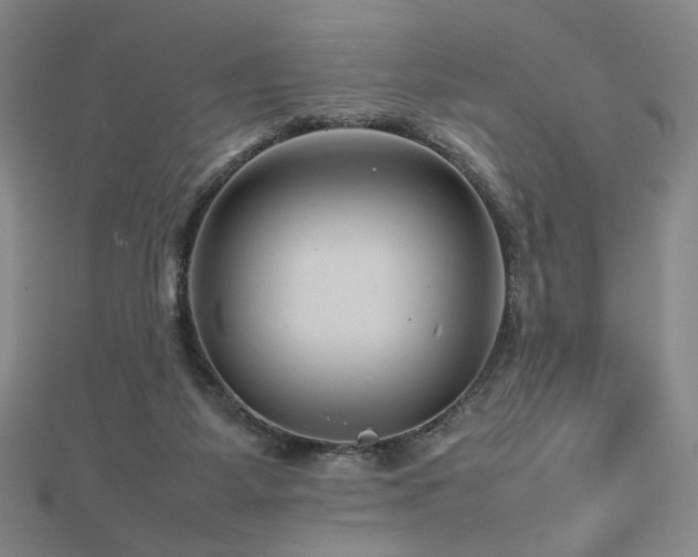 X0000112810115200908211153