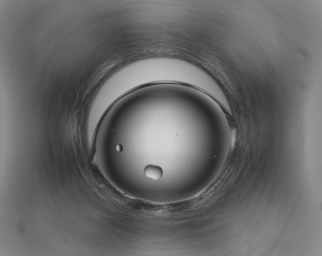 X0000112810116200908211153