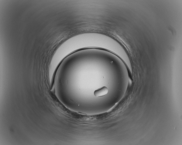X0000112810117200908211153