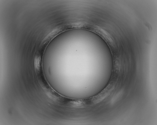 X0000112810118200908211153