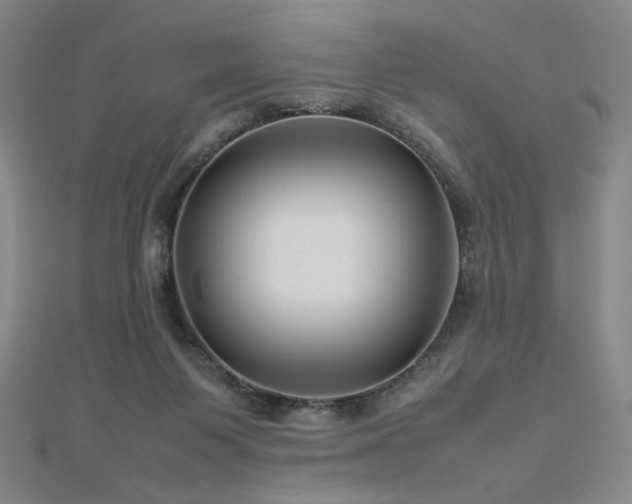 X0000112810119200908211153