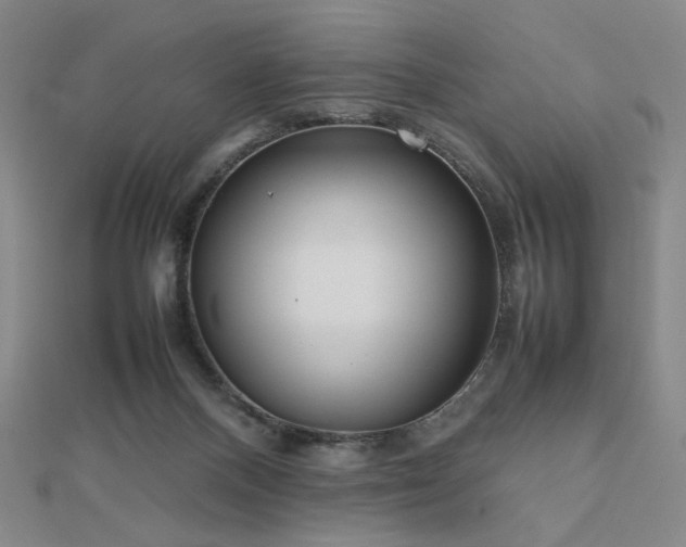 X0000112810120200908211153