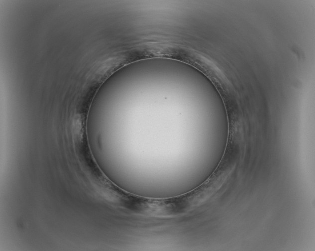 X0000112810121200908211153