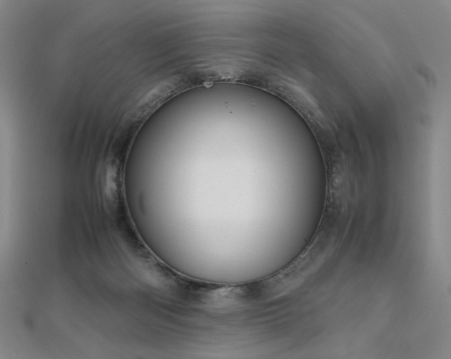 X0000112810122200908211153