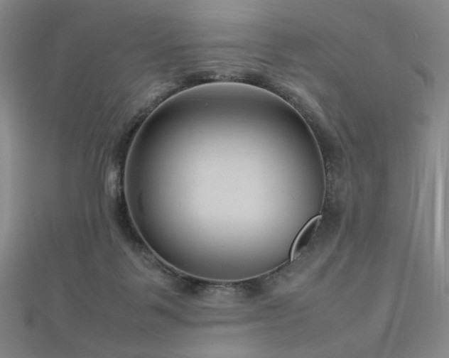 X0000112810123200908211153
