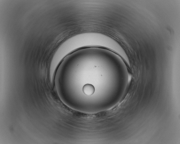 X0000112810124200908211153