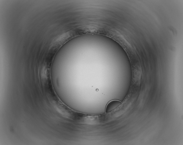 X0000112810126200908211152