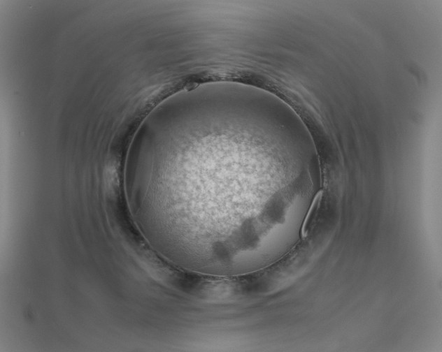 X0000112810127200908211152