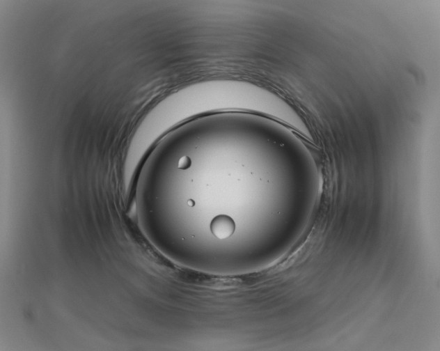 X0000112810128200908211152