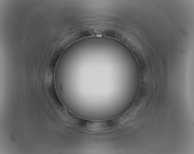 X0000112810129200908211152
