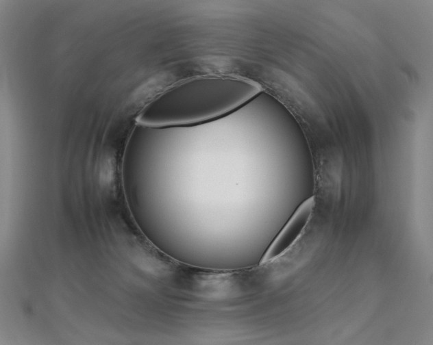 X0000112810132200908211152