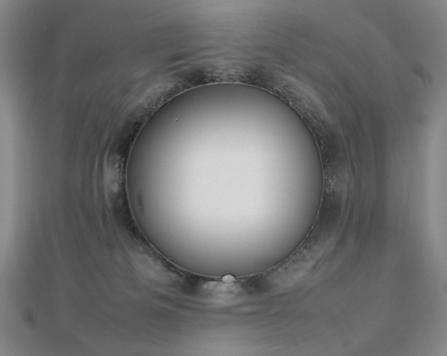 X0000112810133200908211152