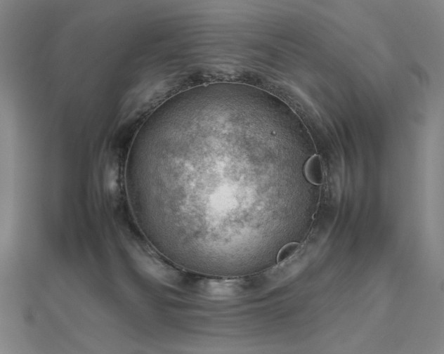 X0000112810134200908211152
