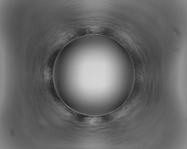 X0000112810135200908211152