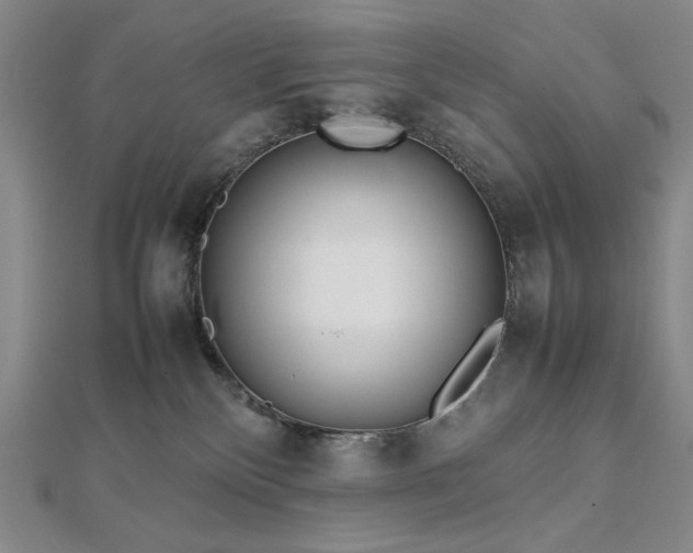 X0000112810136200908211152