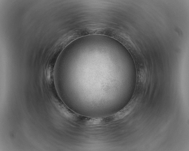 X0000112810138200908211152