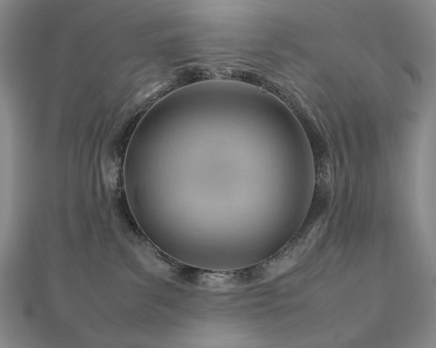 X0000112810139200908211152