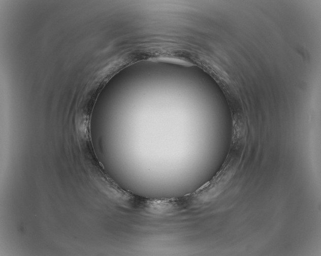 X0000112810141200908211152