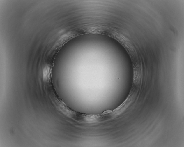 X0000112810142200908211152
