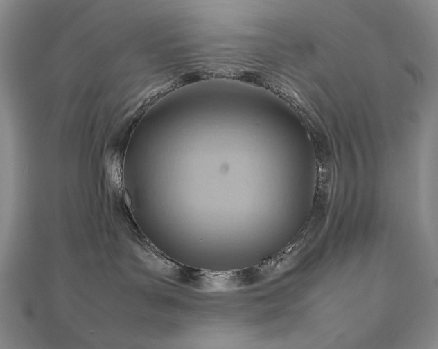 X0000112810143200908211152