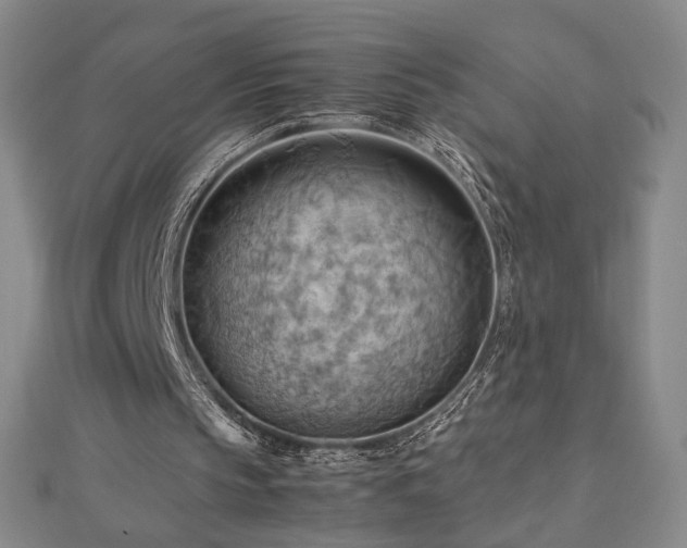 X0000112810145200908211151