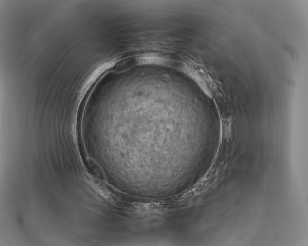 X0000112810147200908211151