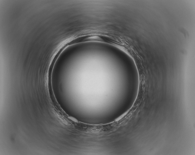X0000112810148200908211151