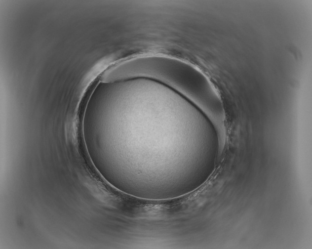 X0000112810152200908211152