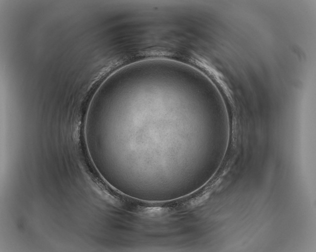X0000112810153200908211152