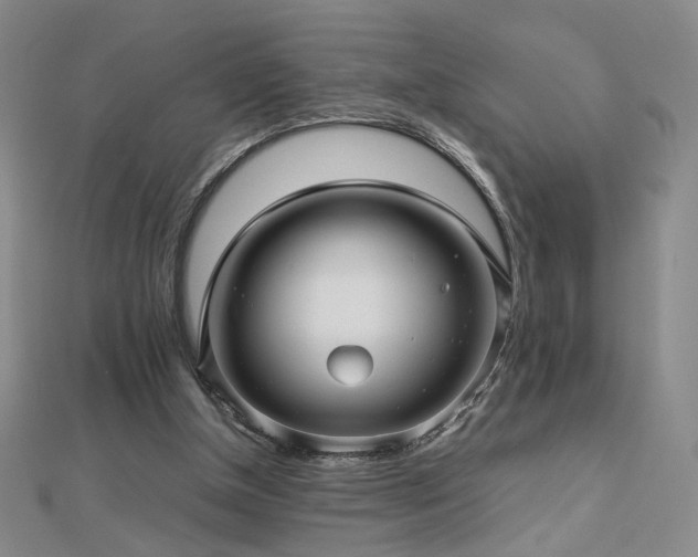 X0000112810154200908211152