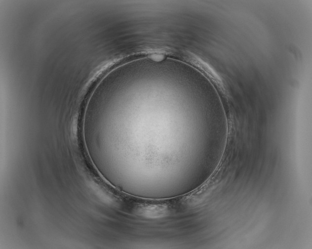 X0000112810155200908211152