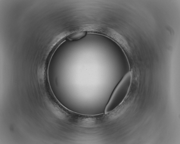 X0000112810156200908211152