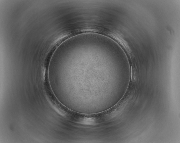 X0000112810157200908211152