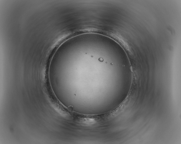 X0000112810159200908211152