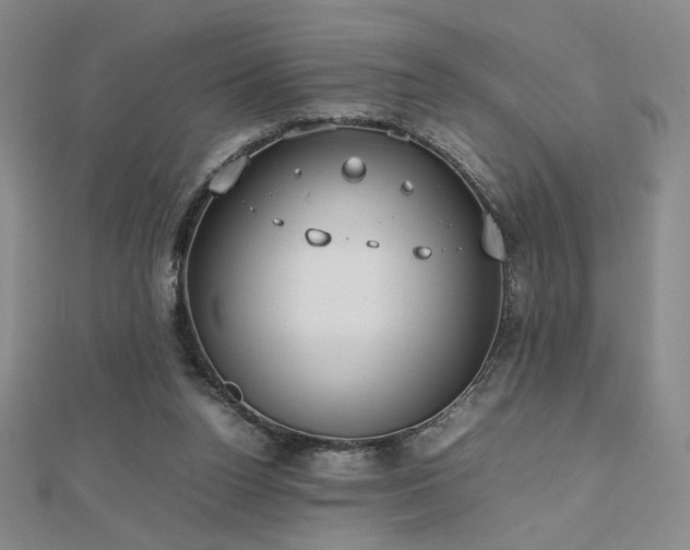 X0000112810160200908211152