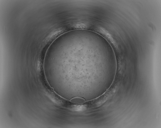 X0000112810161200908211152